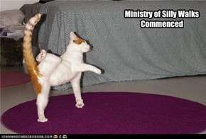 Ministry of Silly Walks Commenced