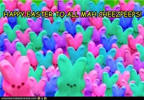 HAPPY EASTER TO ALL MAH CHEEZPEEPS!