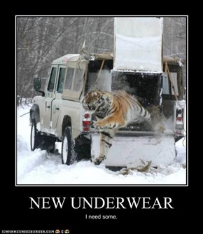 NEW UNDERWEAR