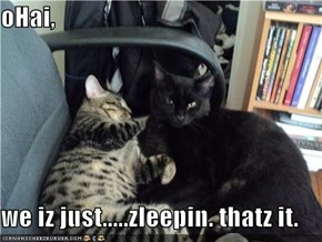 oHai,  we iz just.....zleepin. thatz it.