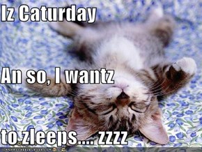 Iz Caturday An so, I wantz to zleeps.... zzzz