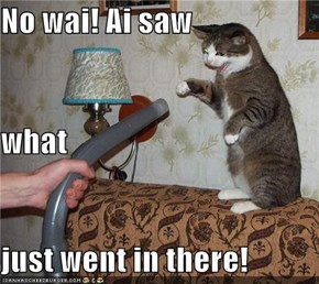 No wai! Ai saw what just went in there!
