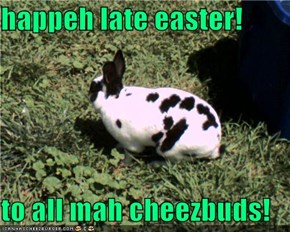 happeh late easter!  to all mah cheezbuds!
