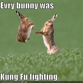 Evry bunny