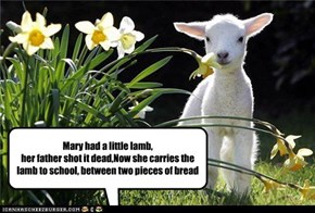 Mary had a little lamb, her father shot it dead,Now she carries the lamb to school, between two pieces of bread