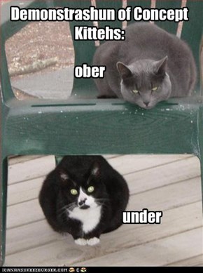 Demonstrashun of Concept Kittehs: