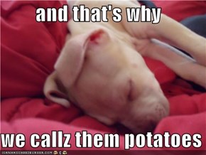 and that's why  we callz them potatoes