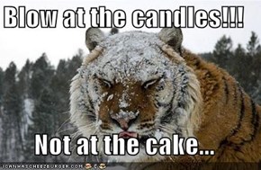 Blow at the candles!!!  Not at the cake...