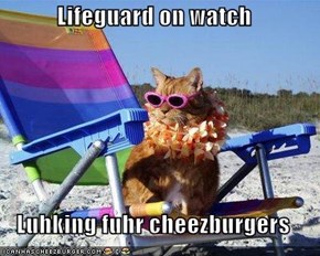 Lifeguard on watch  Luhking fuhr cheezburgers