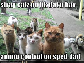 stray catz no lik dat u hav  animo control on sped dail