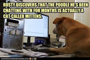RUSTY DISCOVERS THAT THE POODLE HE'S BEEN CHATTING WITH FOR MONTHS IS ACTUALLY A CAT CALLED MITTENS.