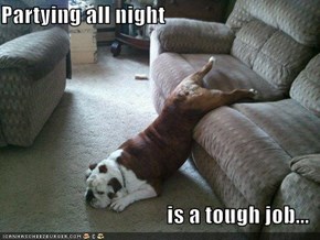 Partying all night  is a tough job...