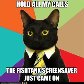 Business Cat: Hold My Calls