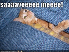 saaaaveeeee meeee!