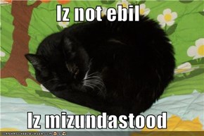 Iz not ebil  Iz mizundastood