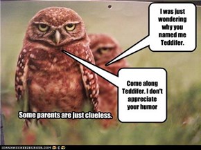 Come along Teddifer. I don't appreciate your humor