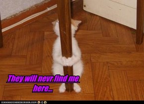 They will nevr find me here...