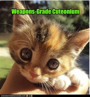 Weapons-Grade Cuteonium