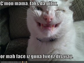 C'mon mama, taks da pitur,  or mah face iz guna fweez dis way.