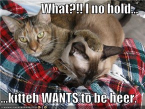 What?!! I no hold...  ...kitteh WANTS to be heer.