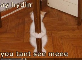 ay hydin  you tant see meee