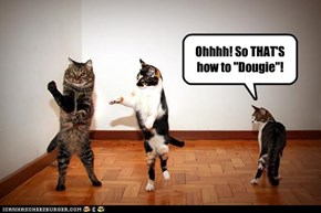 Ohhhh! So THAT'S how to "Dougie"!