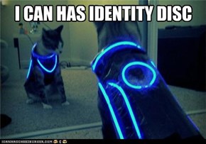 I CAN HAS IDENTITY DISC