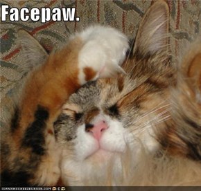 Facepaw.