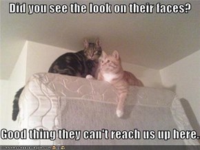 Did you see the look on their faces?  Good thing they can't reach us up here...
