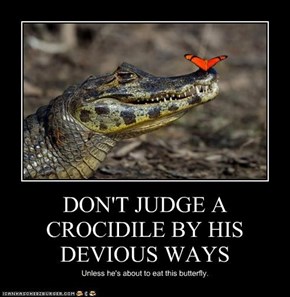 DON'T JUDGE A CROCIDILE BY HIS DEVIOUS WAYS