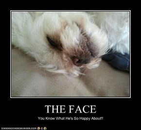 THE FACE