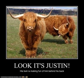 LOOK IT'S JUSTIN!