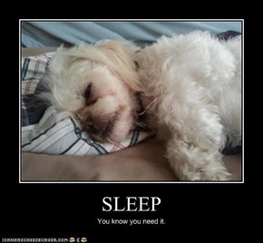 SLEEP