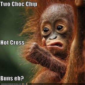 Two Choc Chip Hot Cross Buns eh?