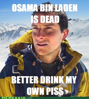 Bear Grylls: The Champagne of Bears