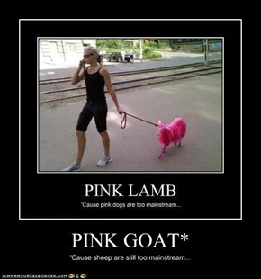 PINK GOAT*