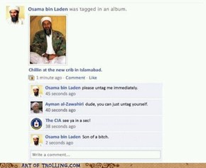Osama Bin Trolling