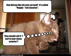 How did you like the new cat food?  It's called "Veggie - Tofu Surprise".