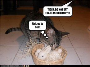 TIGER, DO NOT EAT THAT EASTER CANDY!!!