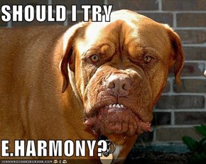 SHOULD I TRY  E.HARMONY?