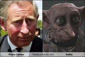 Prince Charles Totally Looks Like Dobby