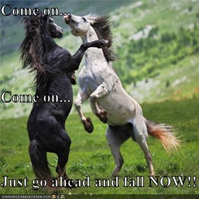 Come on... Come on... Just go ahead and fall NOW!!