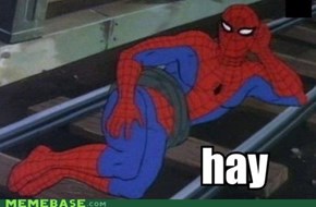 Sassy Spidy