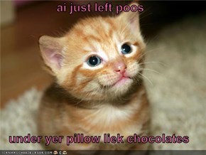 ai just left poos  under yer pillow liek chocolates