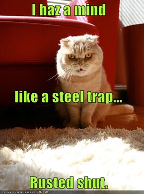 I haz a mind  like a steel trap... Rusted shut.