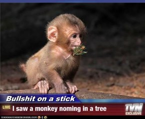Bullshit on a stick - I saw a monkey noming in a tree