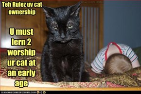Teh Rulez uv cat ownership