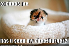 exchoos me  has u seen my cheezburger?