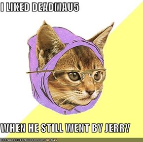 I LIKED DEADMAU5  WHEN HE STILL WENT BY JERRY