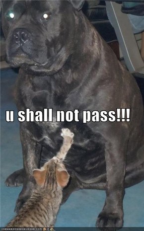 u shall not pass!!!